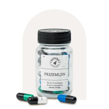 prizemljin